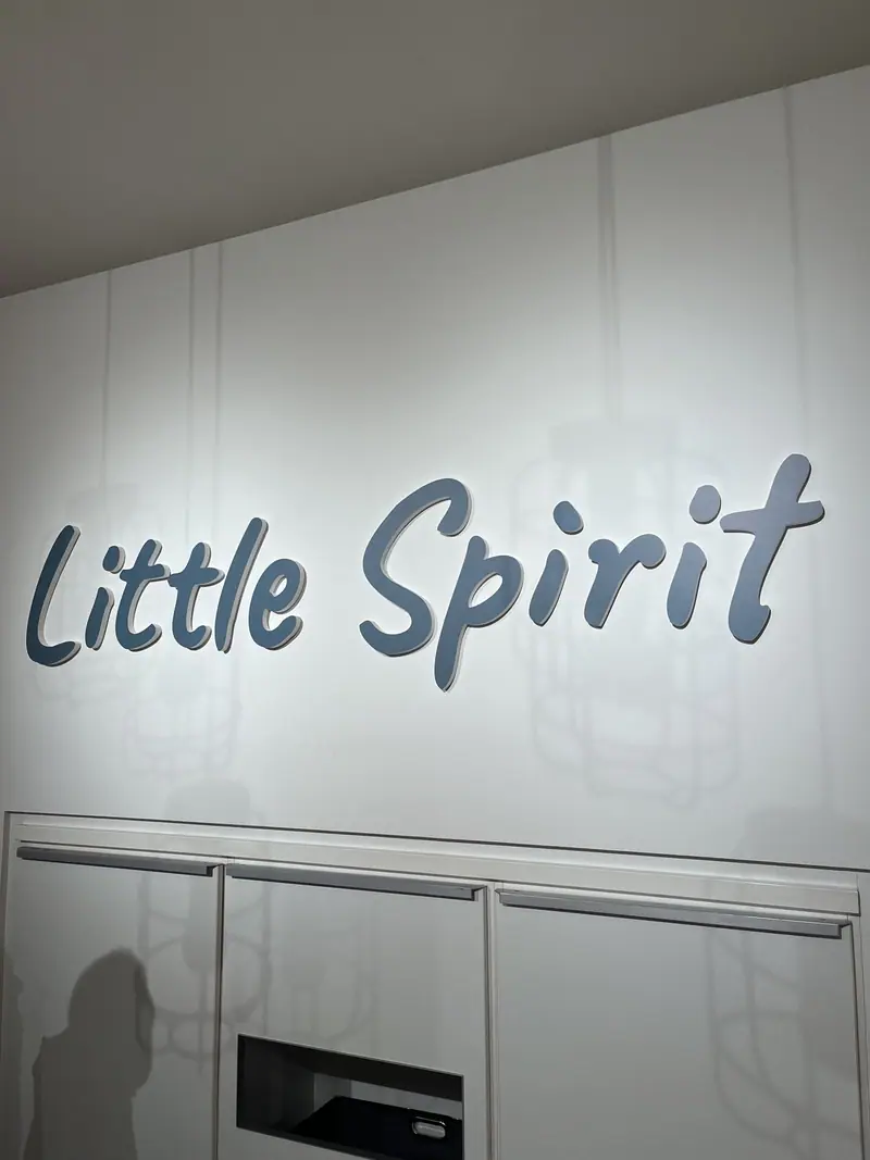 Raised Little Spirit letters on a grey wall
