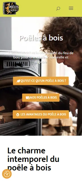 Poêles et Cheminées website: home page with a stove in a living room